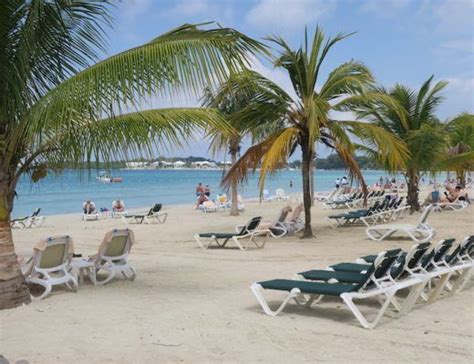 hedonism jamaica pictures|“Daring for a Day” Boomers at a Clothing Optional Resort in Jamaica